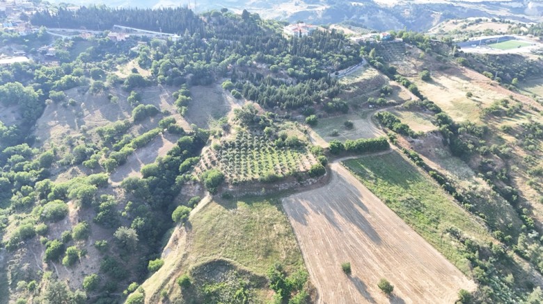 Denizli Babadağ 2.520 M2 Bağ