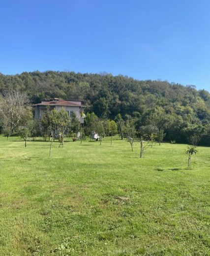 İstanbul Beykoz Satılık Villa — foto 4