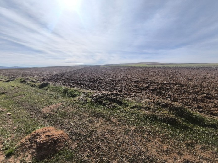Yozgat Sarıkaya 15.000 M2 Tarla — foto 4
