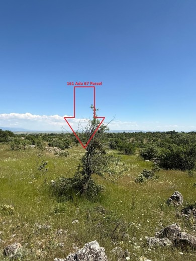 Uşak Merkez 4305.10 M2  Tarla
