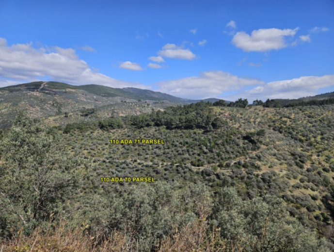 İzmir Bayındır 14212m2 + Zeytinlik — foto 2