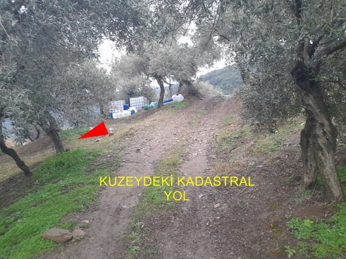 İzmir Bayındır 5422.98 M2 + Bahçe — foto 4