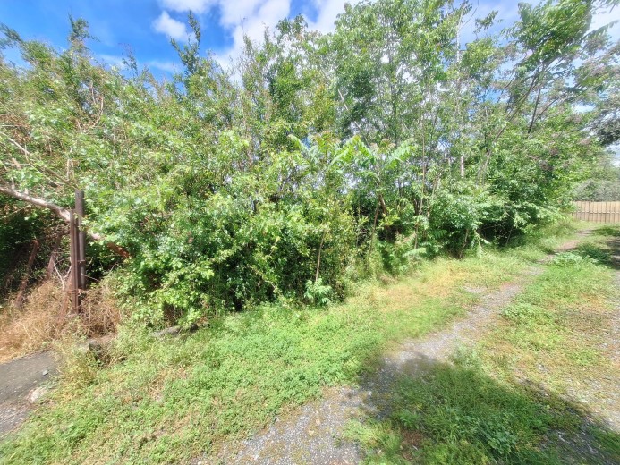 Hatay Dörtyol  3599,40m2  Bahçe — foto 9