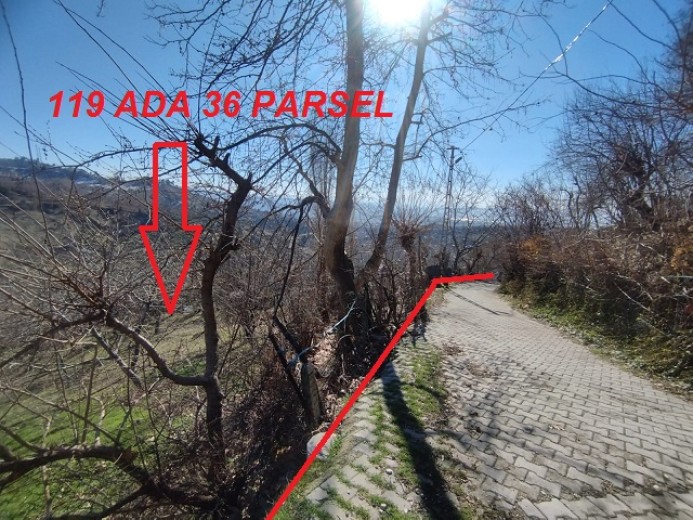 Kahramanmaraş Dulkadiroğlu 3271.32 M2 + Bahçe