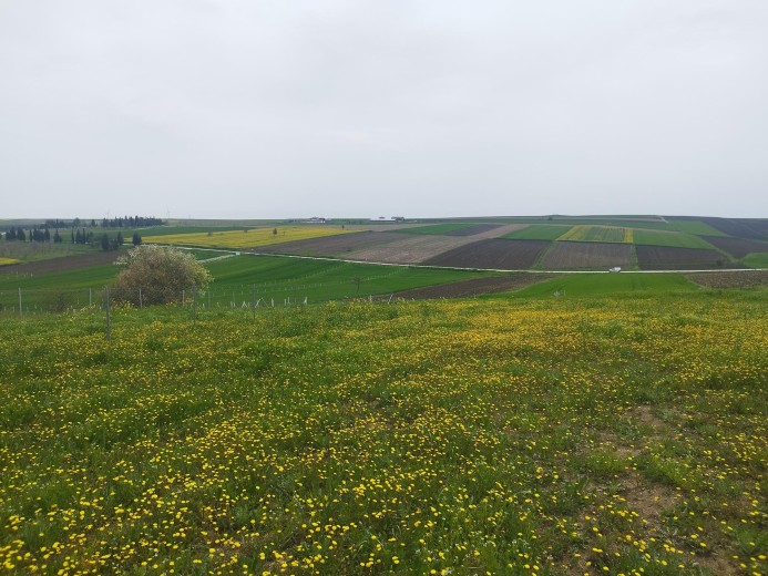 Tekirdağ Ergene 496 M2 + Bağ — foto 2