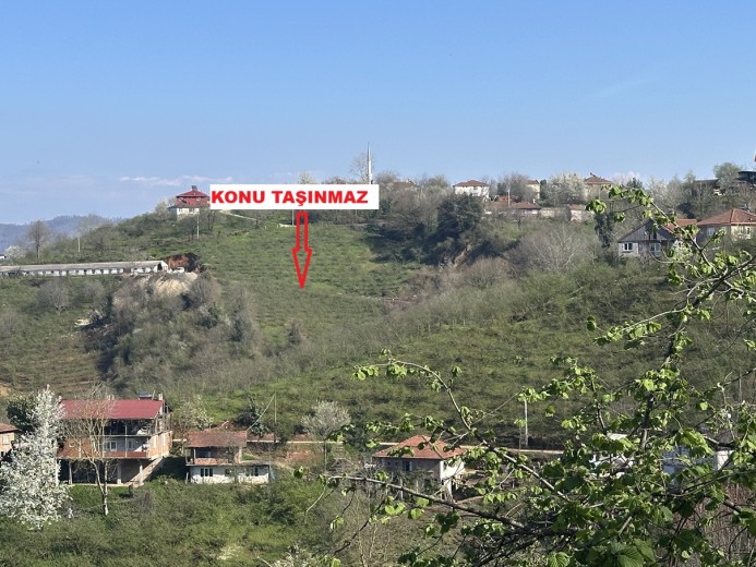 Düzce Akçakoca 14.263.94 M2 Fındıklık Bahçe — foto 8