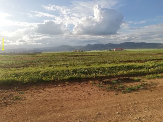 Mardin Kızıltepe  651 M2  Muhtelif Arsa
