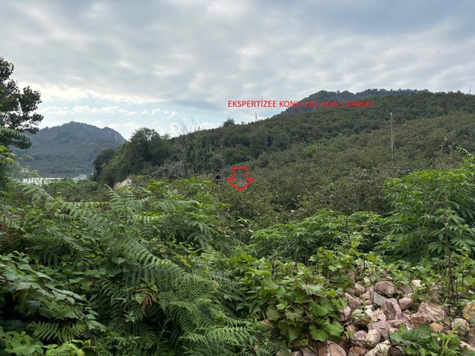 Giresun Tirebolu 7055.15 M2 Muhtelif Arsa — foto 4