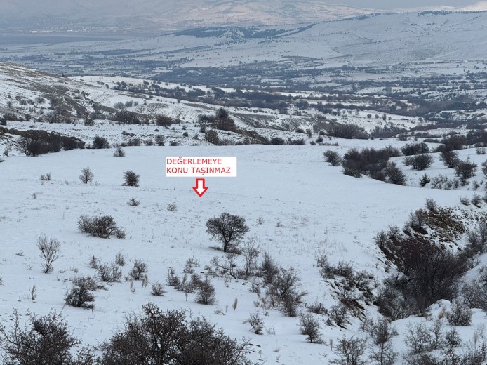 Elazığ Merkez 1957.86 M2 + Tarla