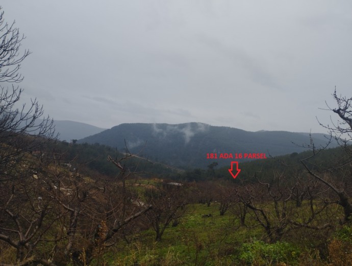 İzmir Bayındır 4050.81 M2 + Bahçe