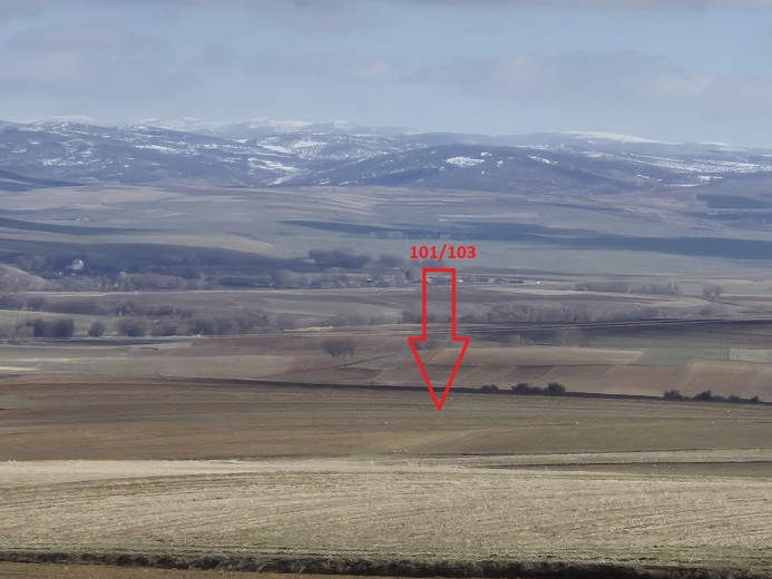 Yozgat Sarıkaya 13207m2 Tarla — foto 2