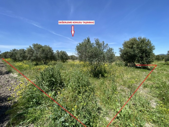 Manisa Akhisar 3483.00 M2 Tarla Tarla — foto 8