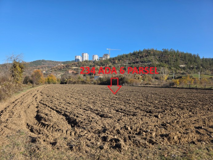 Kastamonu Merkez  1553,20 M2 + Muhtelif Arsa
