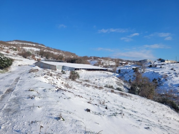 Balıkesir Gönen 2397.00 M2 Koyun Damı Ve 7.456,57 M2 Tarla — foto 2