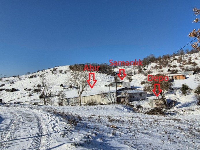 Balıkesir Gönen 2397.00 M2 Koyun Damı Ve 7.456,57 M2 Tarla — foto 4