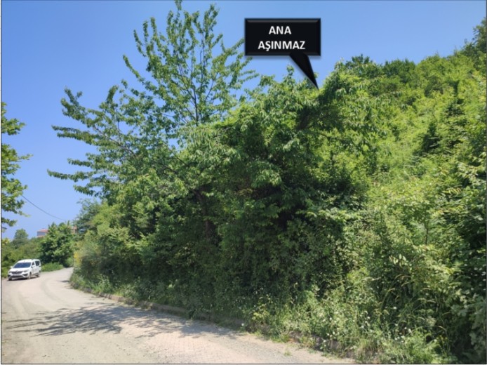 Kastamonu İnebolu 2307.59 M2 Muhtelif Arsa — foto 3
