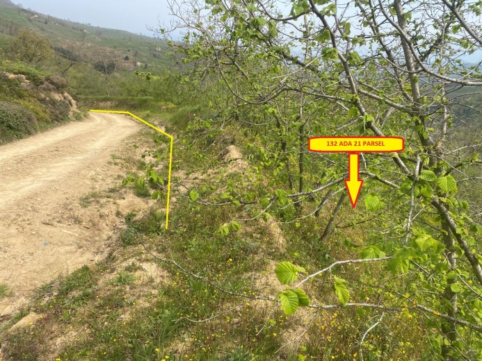 Düzce Cumayeri 12.150 M2 Muhtelif Arsa — foto 2