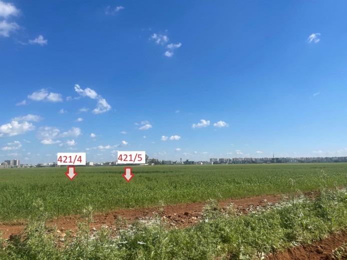 Mardin Kızıltepe  2064 M2  Muhtelif Arsa
