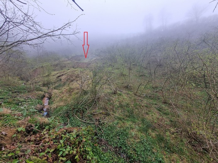 Ordu Fatsa 2211.56 M2  Bahçe — foto 2