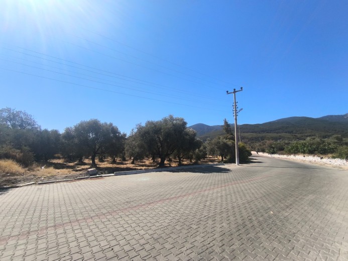 Satılık Kargir Deri İmalathanesi Olan 9759 M2 Elma Bahçesi