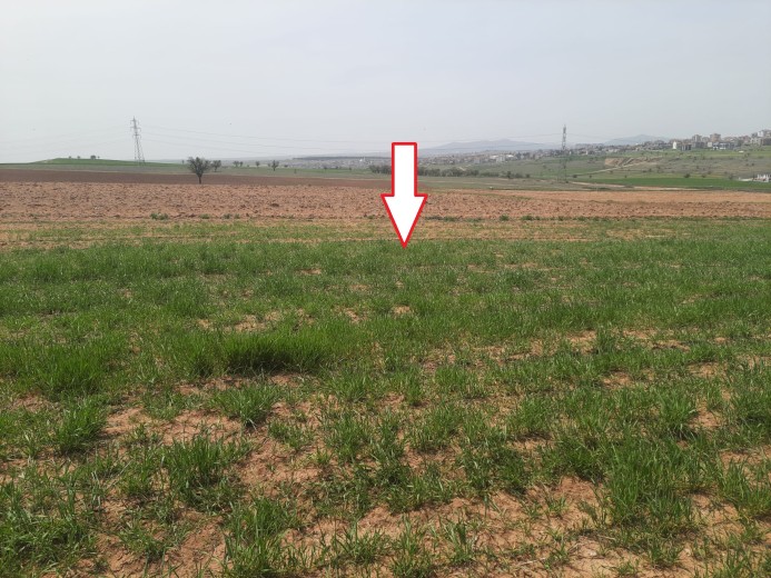 Uşak Merkez 836,17 M2 Arsa  Muhtelif Arsa — foto 2