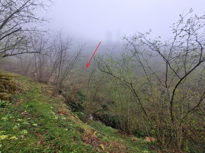 Ordu Fatsa 2211.56 M2  Bahçe — foto 5