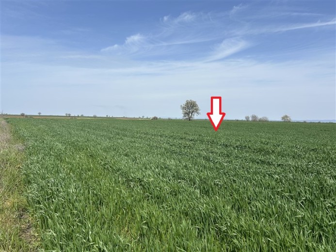 Kırklareli Lüleburgaz 5950.00 M2 Tarla — foto 2