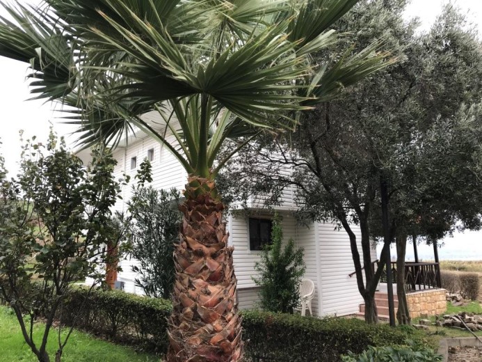 Çanakkale Gelibolu 71.00 M2 3+1 Villa — foto 6