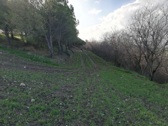 Balıkesir Bandırma 5550.00 M2 + Tarla