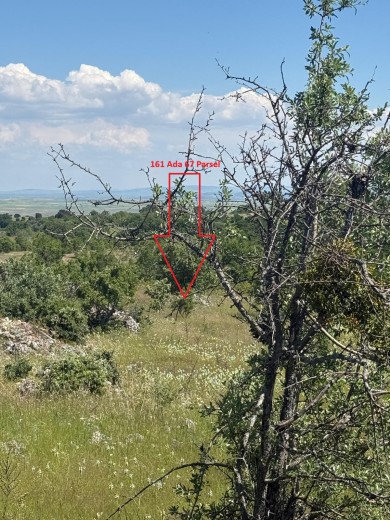 Uşak Merkez 4305.10 M2  Tarla — foto 2