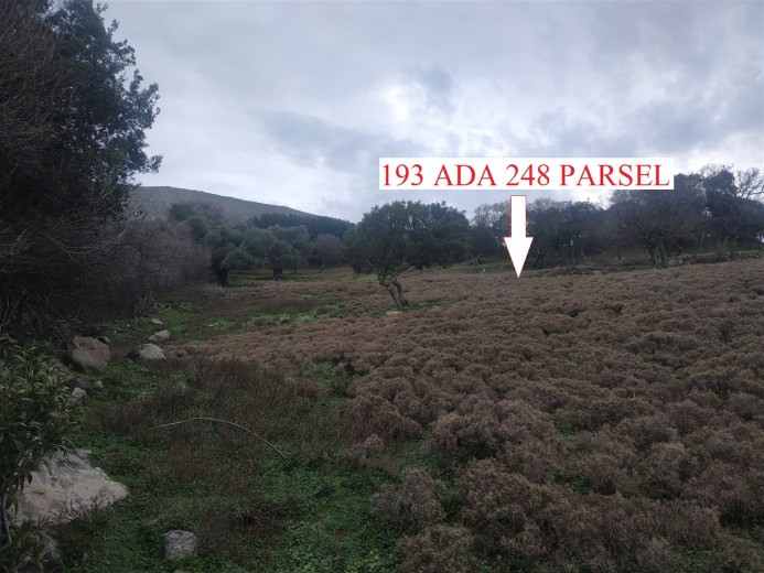 Çanakkale Gökçeada 20626.00 M2 Tarla — foto 4
