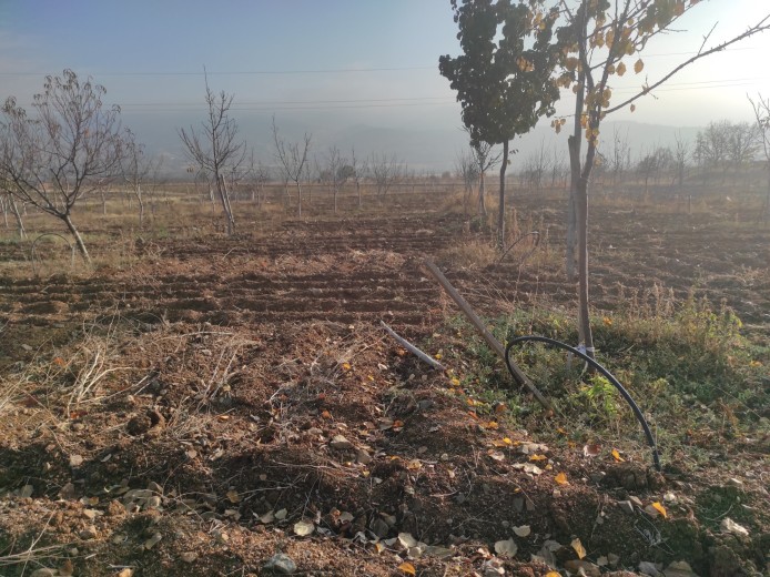 Elazığ Baskil 5.400.00 M2 Tarla