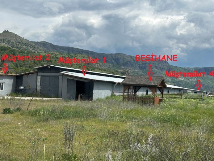 Bolu Seben 2352 M2 Kapalı Alanlı 9212,58 M2 Arazi — foto 3