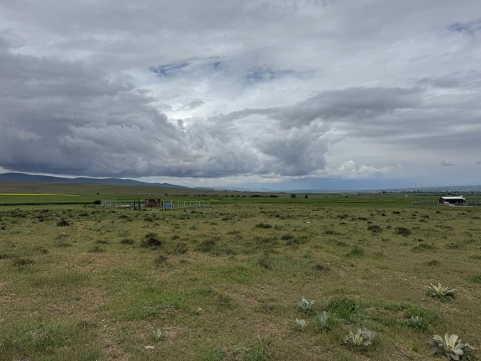 Konya Ereğli Satılık  1162,45 M2 Arsa