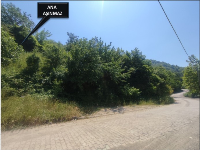 Kastamonu İnebolu 2307.59 M2 Muhtelif Arsa — foto 5