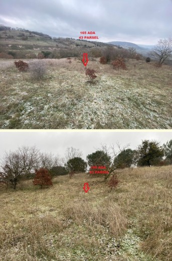 Balıkesir Altıeylül 1770.54 M2 + Tarla — foto 5