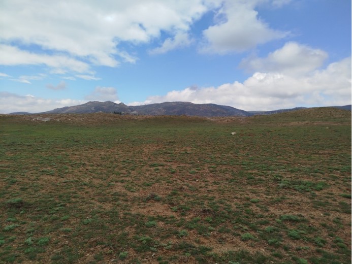 Ankara Gölbaşı 1186 M2  Muhtelif Arsa — foto 4