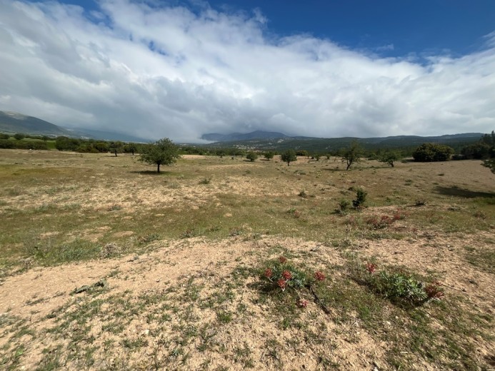 Denizli Serinhisar Satılık 7.166 M2 Arsa — foto 3