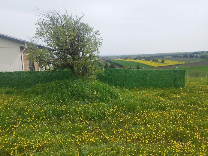 Tekirdağ Ergene 496 M2 + Bağ — foto 3
