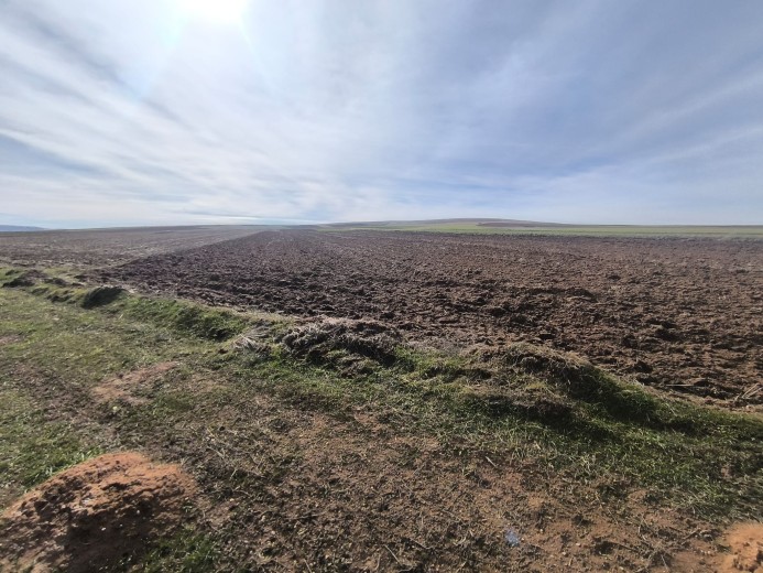 Yozgat Sarıkaya 15.000 M2 Tarla — foto 2