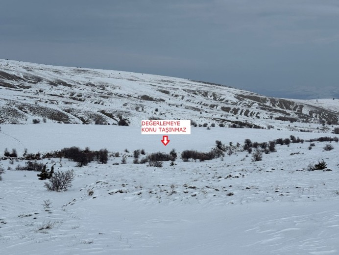 Elazığ Merkez 13600.96 M2 + Tarla