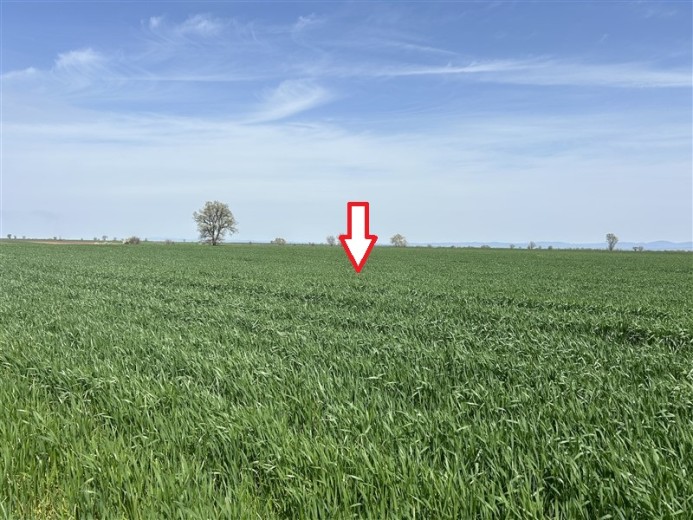 Kırklareli Lüleburgaz 5950.00 M2 Tarla — foto 4