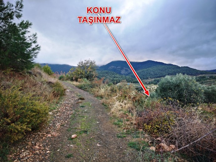 Aydın Karacasu 23525.46 M2 + Bahçe