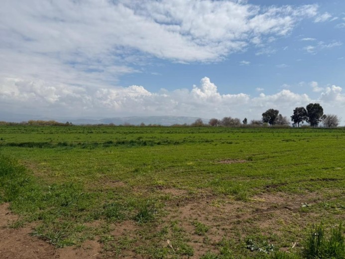 Hatay Kırıkhan 75848 M2  Tarla — foto 5