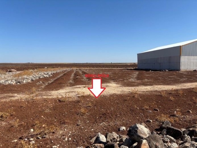 Şanlıurfa Viranşehir  M2 + Muhtelif Arsa — foto 5