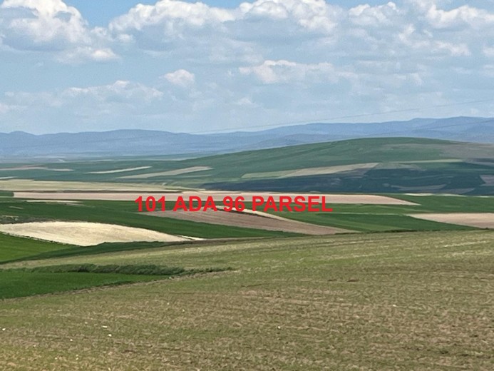 Yozgat Sarıkaya 18957.70 M2 Tarla