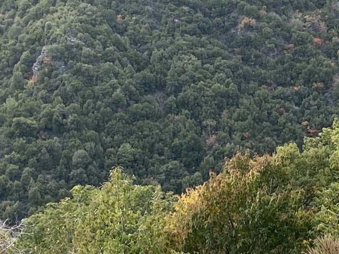 Aydın Efeler 18600 M2 + Tarla