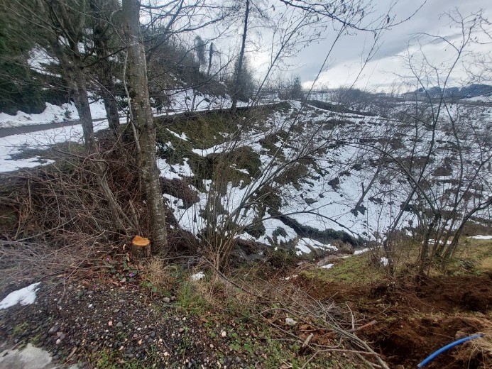 Ordu İkizce 6580,97 M2  Bahçe