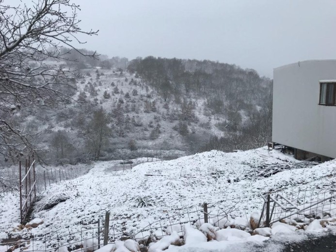 Çanakkale Çan 2.352,66 M2 Tarla