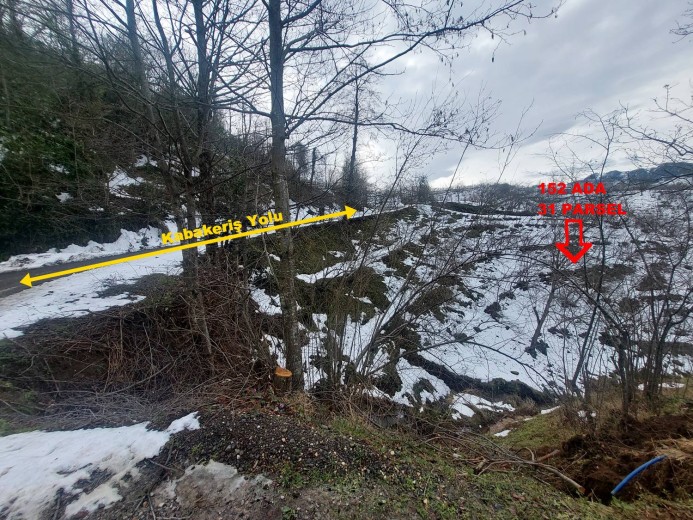 Ordu İkizce 6580,97 M2  Bahçe — foto 7